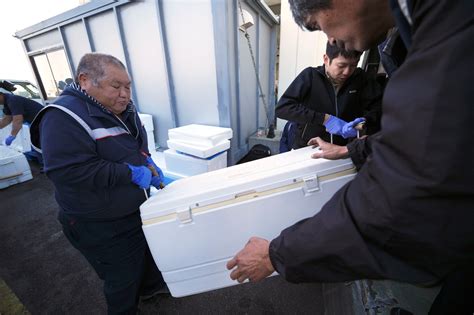 IAEA team gathers marine samples near Fukushima as treated radioactive water is released into sea